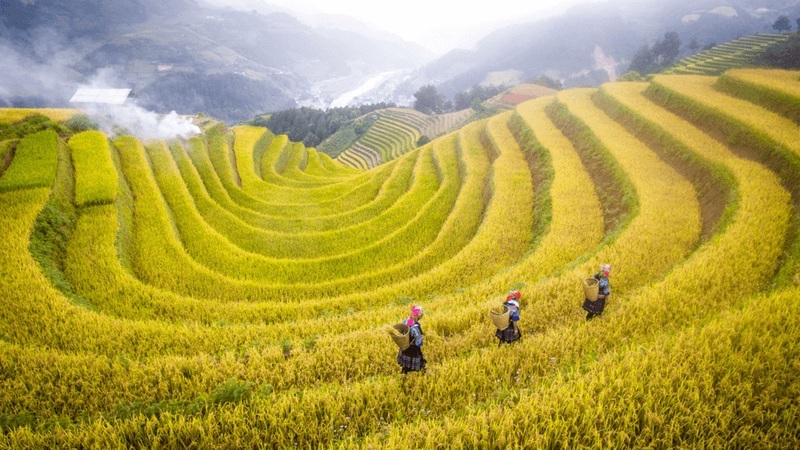 Sapa mùa thu